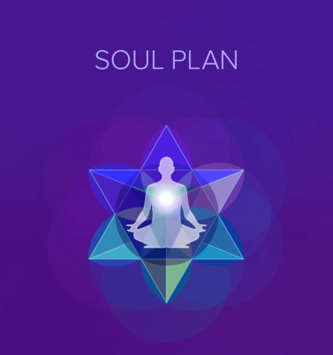 Soul Plan Reading