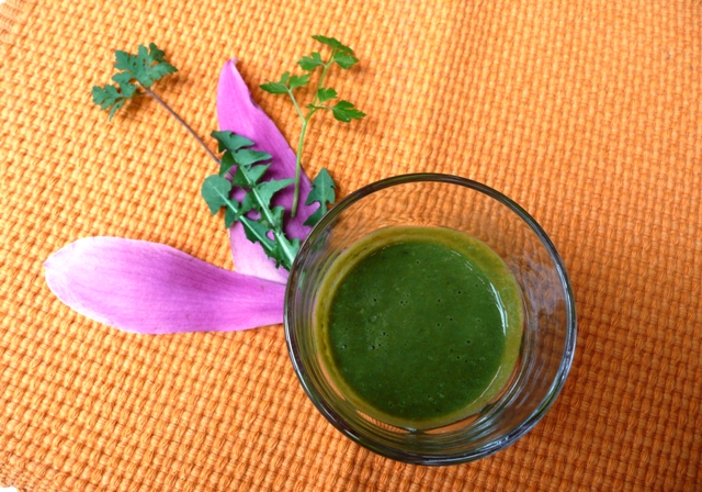 smoothie with edible weeds